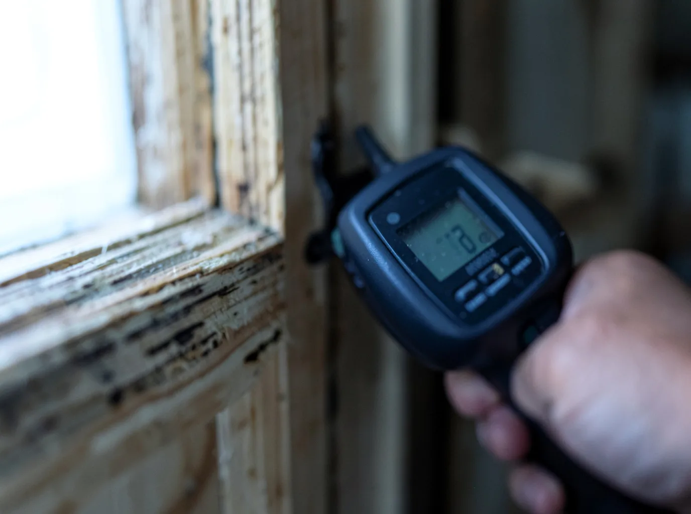 Commercial Water Damage Restoration in Gold Creek, MT